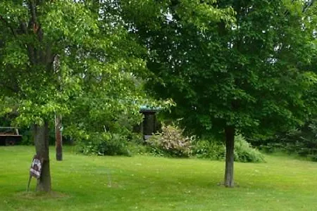 The South Glenora Tree Farm-2