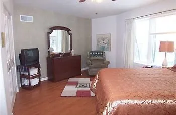 Tree Top Bed & Breakfast-2