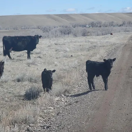 4 Bears Bed And Breakfast-2