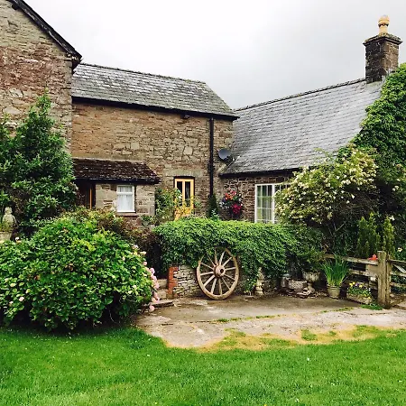 The Draen Bed And Breakfast-3