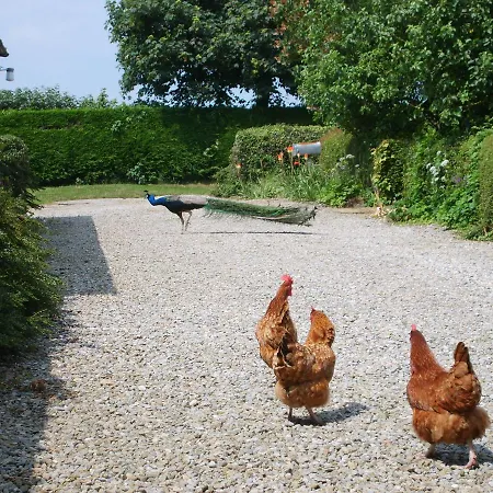 Hazelwood Farm B&B-2