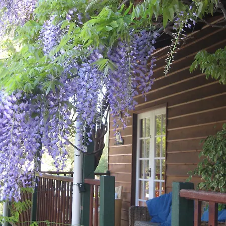 Rosemoore Bed & Breakfast-3