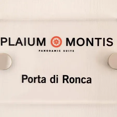Plaium Montis-3
