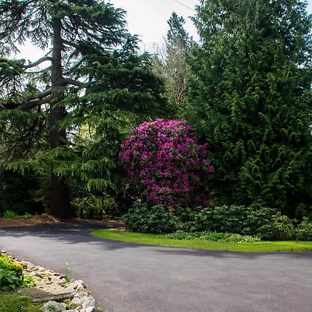 Claridge House Retreat Centre Inc Continental Vegetarian Or Vegan Breakfast-3