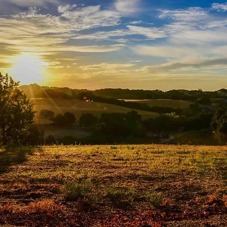 Orchard Hill Farm-2