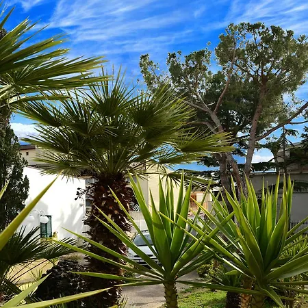 B&B Villa Garden-3
