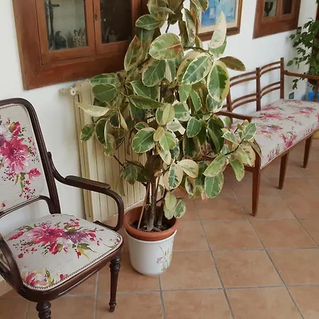 B&B Soriano44-3