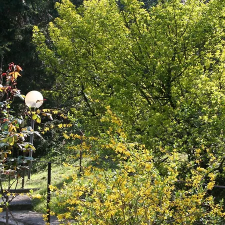 B&B I Ghiri-2