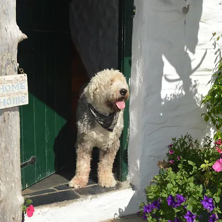 Lissyclearig Thatched Cottage-2