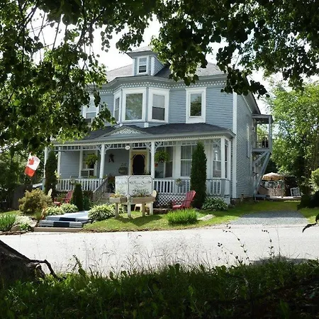 Regent Street Bed & Breakfast-2