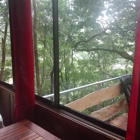 The Green Tree Lodge-3