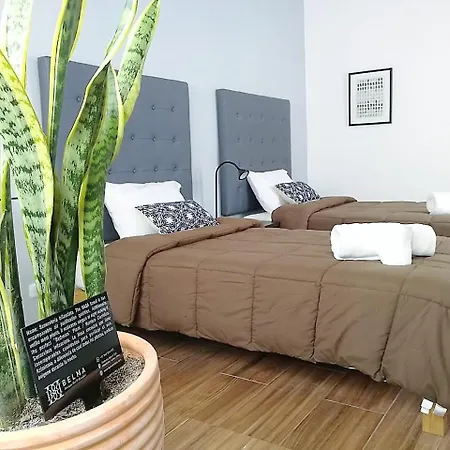 Belma Boutique Bed And Breakfast-3