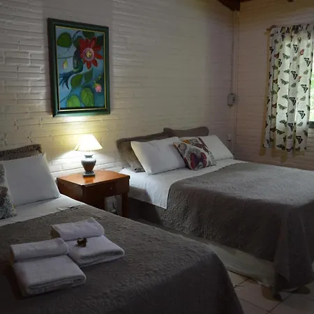 Oasis Bed And Breakfast-3