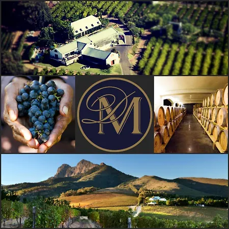 Marianne Wine Estate-3