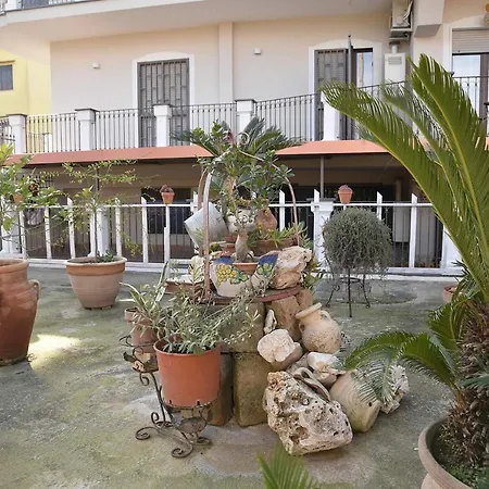 B&B Le Cycas-2