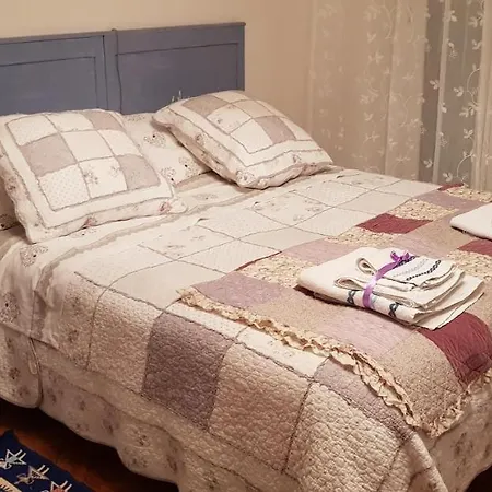 B&B Mimosa-3