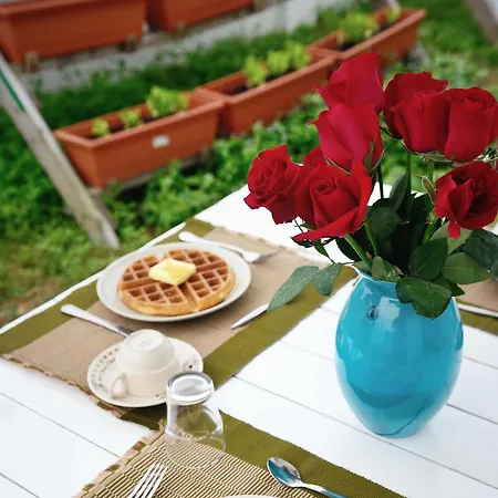 Eco Bed And Breakfast-3