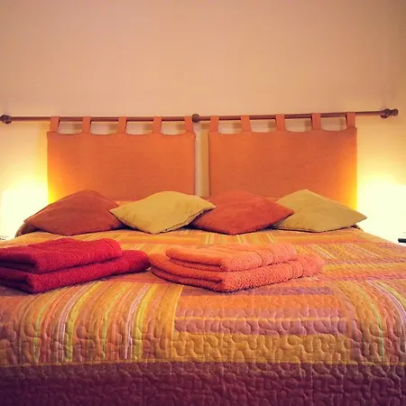 B&B Sunflower-3