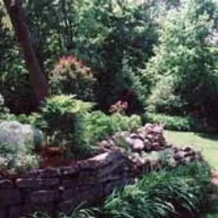 Red Elephant Inn Bed And Breakfast-2
