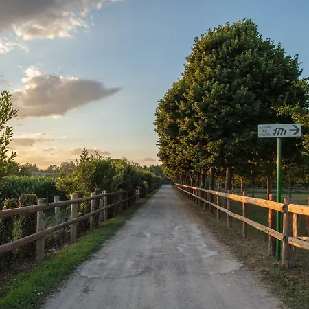 Fuori le Mura-3