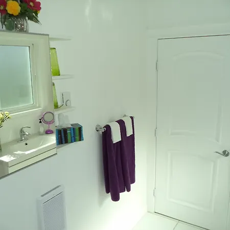 Enchanted Rainforest Guesthouse-2