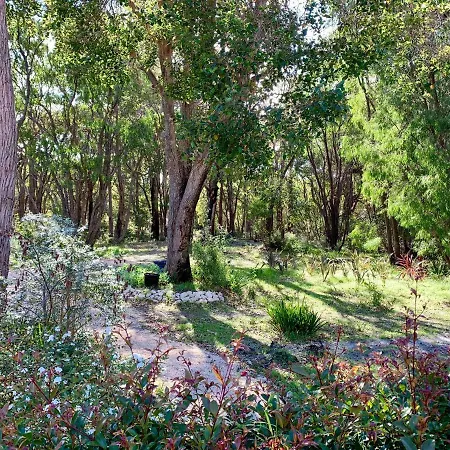 Wilderness House-2
