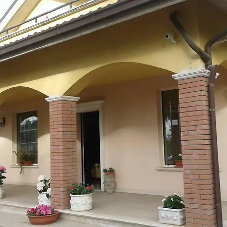 Le Palme-2