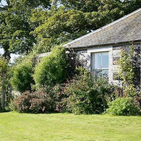 Buckthorns House-3