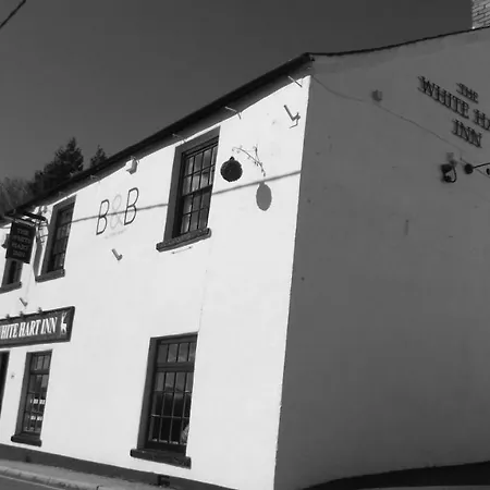 White Hart Inn-2