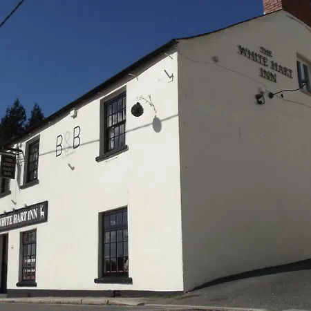 White Hart Inn-2