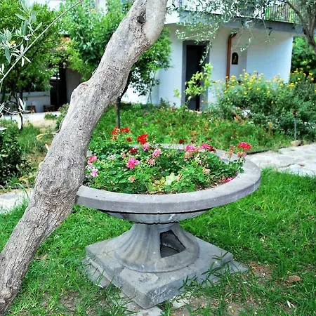 B&B Terre Di Sicilia-3