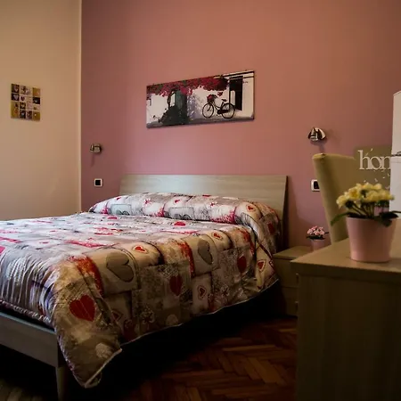 B&B Zara-3