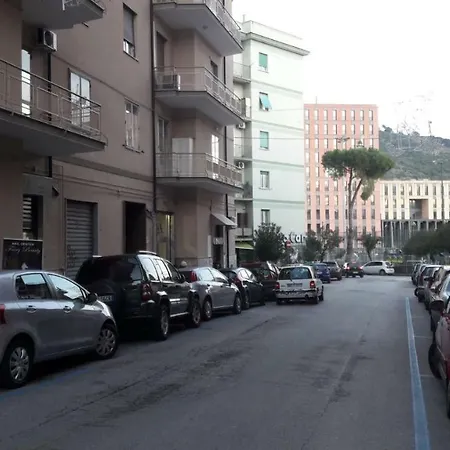 Ad Maiora-2