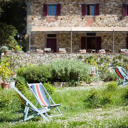 Ancora Del Chianti-3