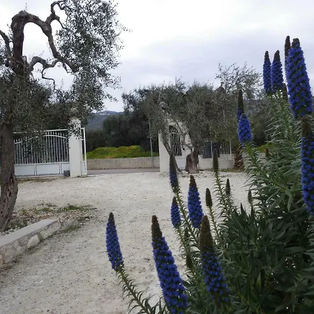 B&B Masseria Liberatore-2