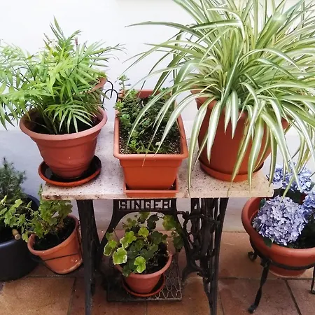 Hostal La Ribera del Júcar-2