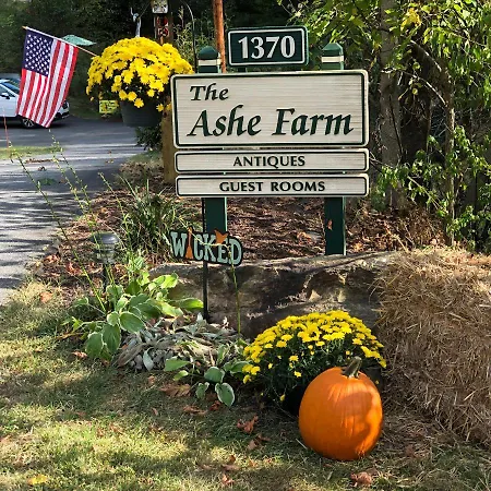 The Ashe Farm-2