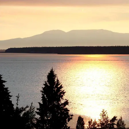 Susitna Place B&B-3