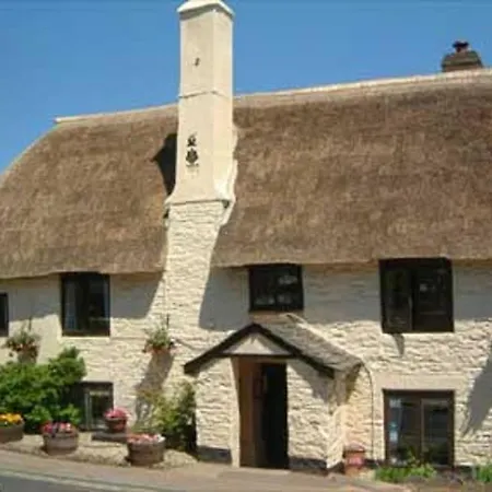 Myrtle Cottage B&B-2