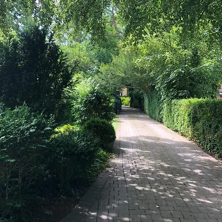 Villa Elena-3