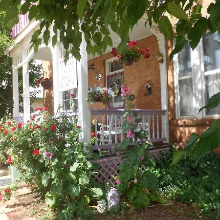 Violet Rose B&B-2