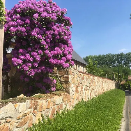 B&B Wisteria-2