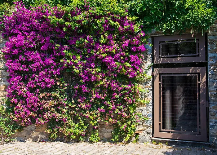 B&B Renalù Verbania