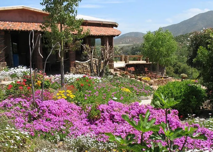 Bed and Breakfast Quinta Maria en la Ruta del Vino Valle de Guadalupe