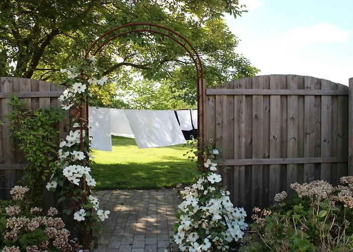 Safine B&B Faaborg