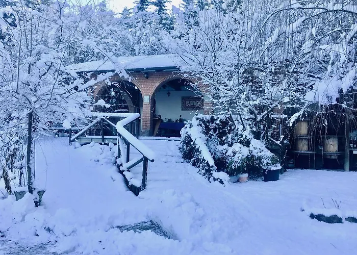 B&B La Villarella dei Tulipani Asti