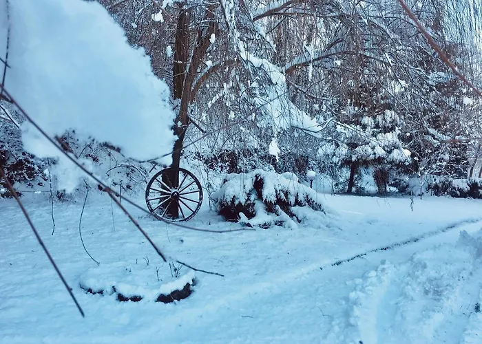 B&B La Villarella dei Tulipani Asti