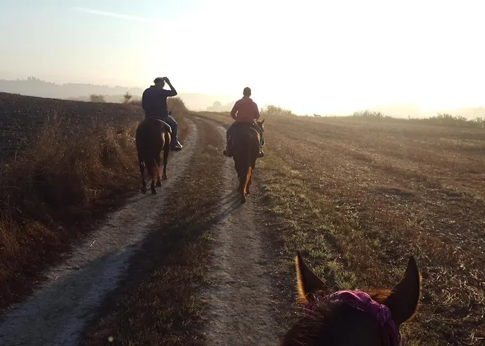Dago Farmhouse Siena