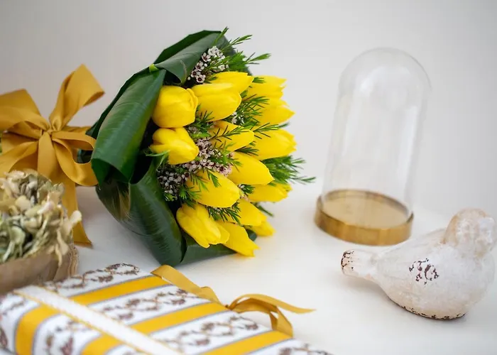 Domus Duorum OOporto