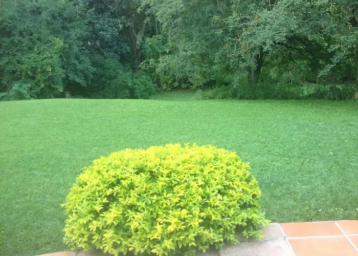 Bed and BreakfastEmfuleni Bed And Breakfast